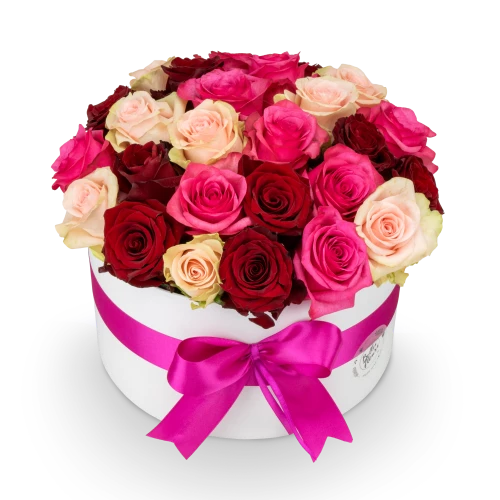 Květinový box růží